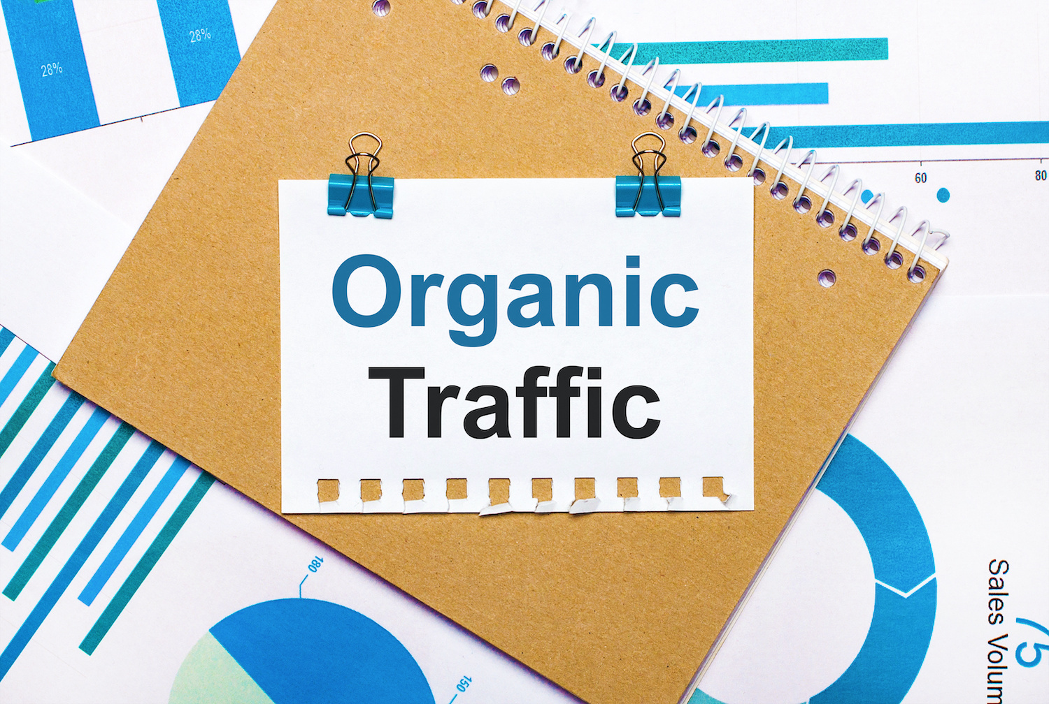 Organic Traffic SEO